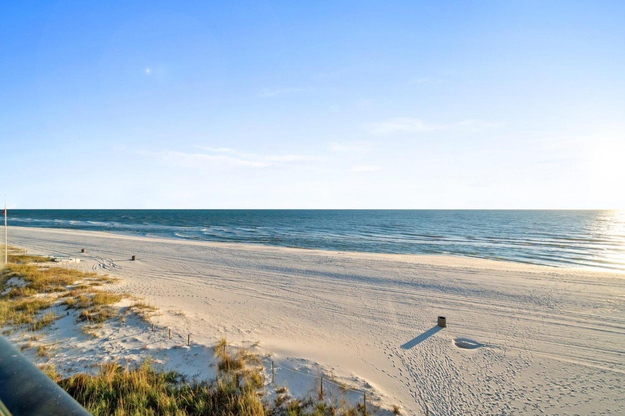 Pelican Walk 406
